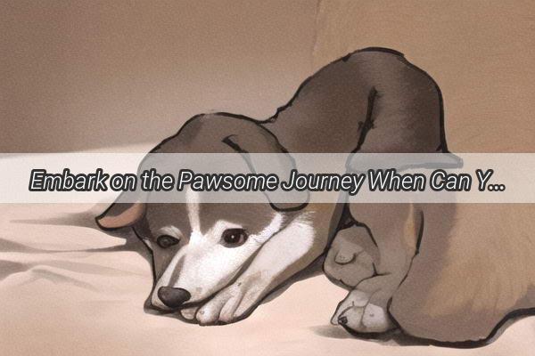 Embark on the Pawsome Journey When Can Your Furry Friend Dive into the World of Dog Food